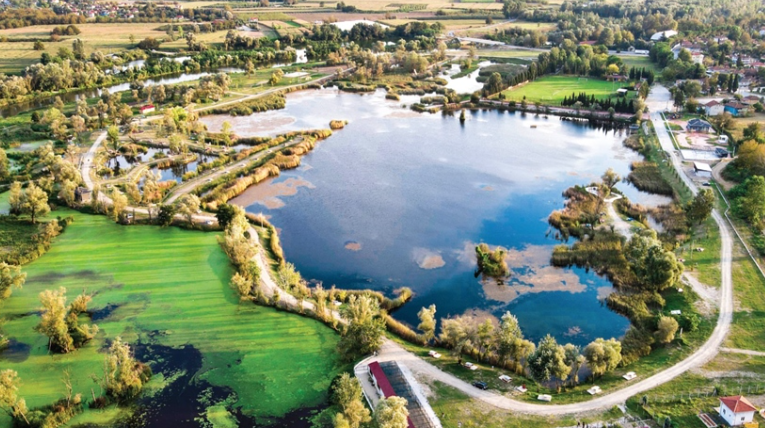 Arifiye Marka Tescil